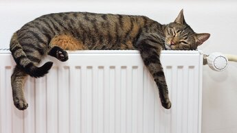 Katze entspannt sich auf einem warmen Heizkörper | © Adobe Stock