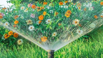 Bewässerung des Gartens im Frühling, schöne Natur, Bäume, Blumen und Ziersträucher | © Adobe Stock